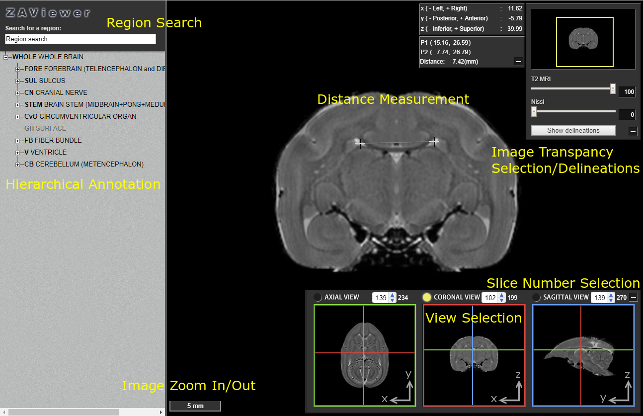 Viewer Operation Quick Guide Brain Minds